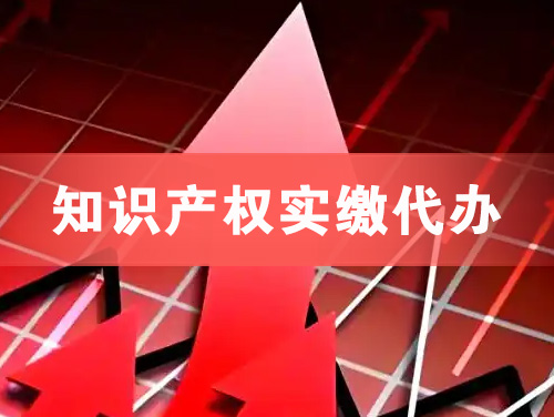 建昌知识产权实缴资本代办